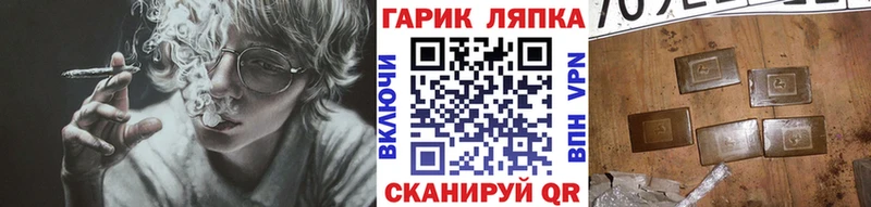 ГАШ Изолятор Елец