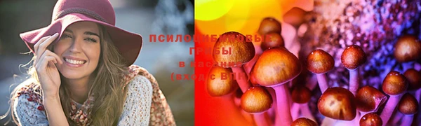 метадон Вяземский