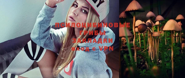 метадон Вяземский