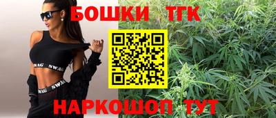шишки Гусиноозёрск