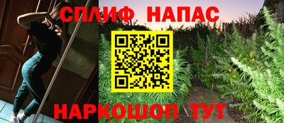 шишки Гусиноозёрск