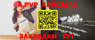 спиды Донской
