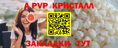 спиды Донской