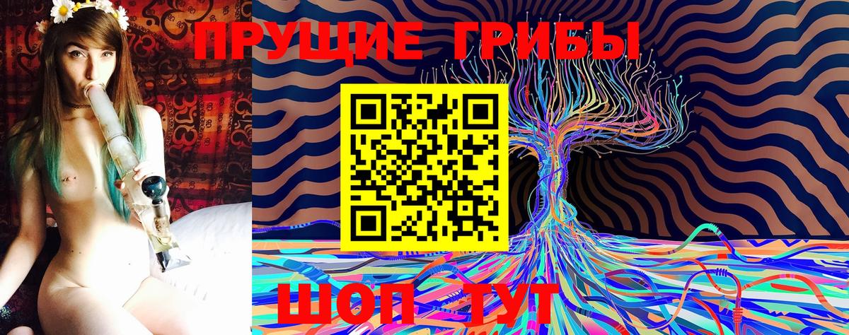 Псилоцибиновые грибы MAGIC MUSHROOMS  Вход с VPN  Псилоцибиновые грибы Magic Shrooms  Елец 